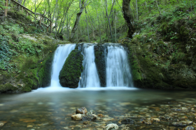 辉达娱乐APP文章赋能场景：全方位介绍与用户引导，打造互动社区氛围